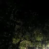 eyesoffthewheelimastar