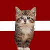renars.veinbergs