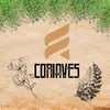 coriaves🇫🇷🇫🇷