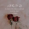 ammar.gyan