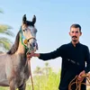 إيهاب الجنابي
