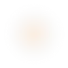 muurr0205