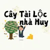 Cây Tài Lộc nhà Huy