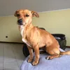 pepita8072