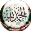 abdelhalimgamal2