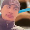 uetz.h.t.w