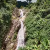 trnh.trinh223
