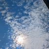 asrar_1101