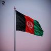 shahlahamid685