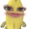 adhinidw