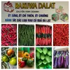 rakuwadalat49