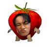 silvetaesh