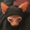 archibaldfinklebottom
