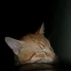 mochamad_yogie_a1