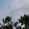 xyzmx_50