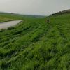 amal060104