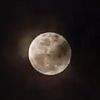 moon61638