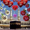 naima.fakhar0