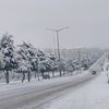 _kaya360