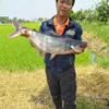 buiphong2923