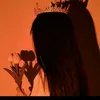nayabmeer492