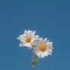 youname1_1