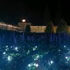 moonlight234567898