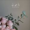 aa.alasiri