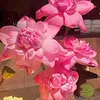 nguyenthithuylinh_64