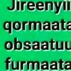 oromiya.biyaa.koo6