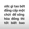 huytung_2010