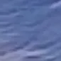 shlkagyan2