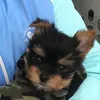teddymax12