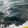 kky_2467