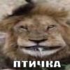 vataxz