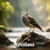 mixali42