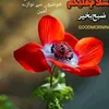 javed...7685