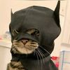 badman00s