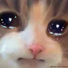 nriqpaz2