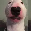 yosoyroquexd
