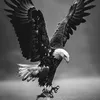 kaiser17_7