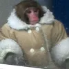 monkesen