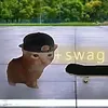 123chg4wq3fyvr4yy