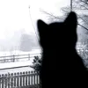 ilove_cats3314