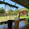 huynh.321