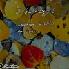 muhmmadhamid435