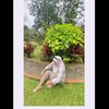 threebabygirl_