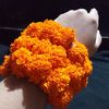 userrujfatjahan8o1