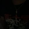 el_pilotillo
