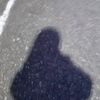 user2531600513346